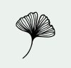 Ginkgo Biloba Ginkgo Biloba