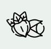 guarana guarana